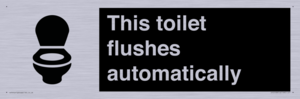This toilet flushes automatically